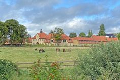 Noch befindet sich der Immenhof im Dornröschenschlaf: Am 1. Oktober 2021 wird das Hotel Gut Immenhof eröffnet – und damit auch wieder das Immenhof-Museum.