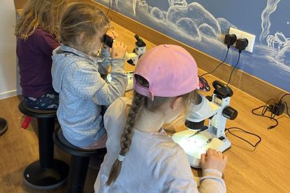 Die Schulklasse 1 im Ostseelabor.