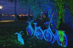 Lichtermeer im Stadtpark