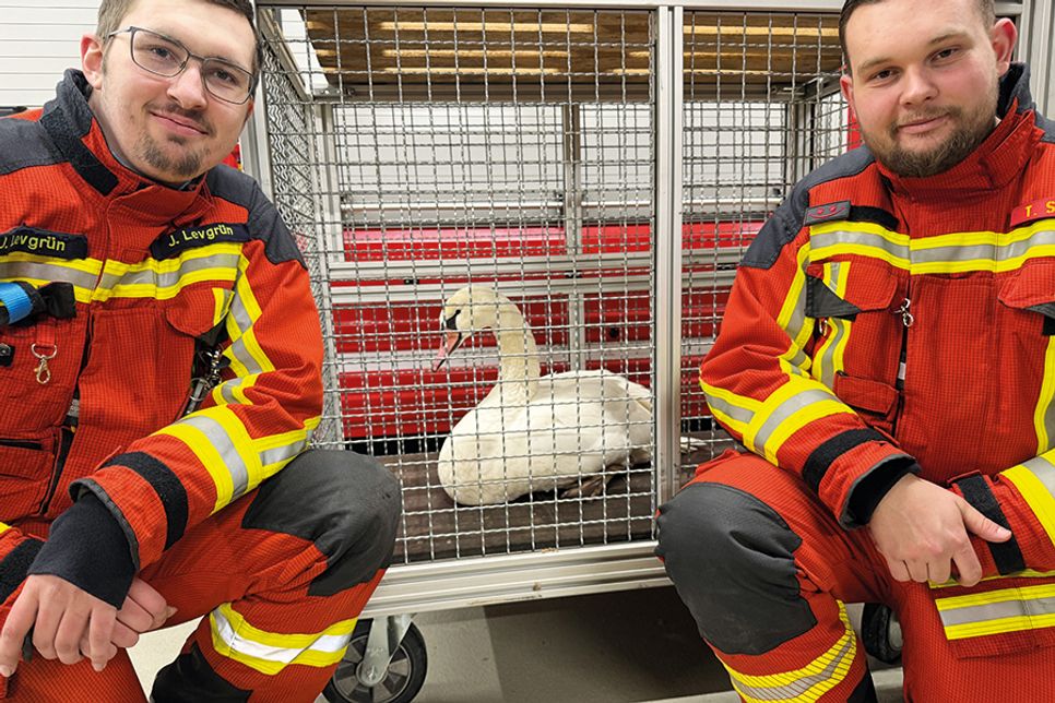 Feuerwehr rettet Schwan aus dem Eis der Ostsee