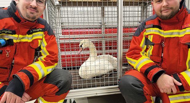 Feuerwehr rettet Schwan aus dem Eis der Ostsee