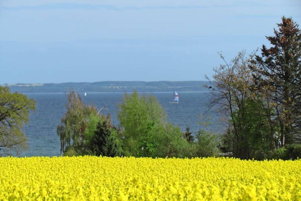 Frühlingsfrische an der Lübecker Bucht.