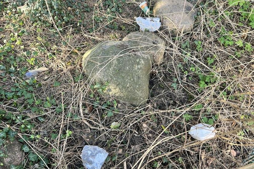 Ein Blick in den Stadtpark am Rosengarten verriet, dass der Frühjahrsputz dringend nötig war.