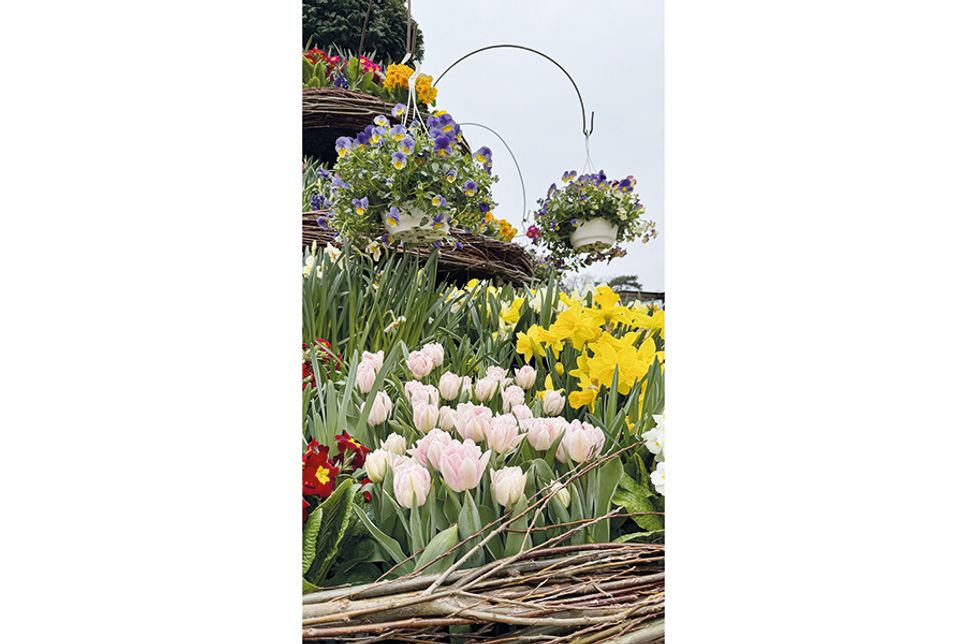 Frühlingshighlight am Timmendorfer Platz: Der Osterbrunnen erstrahlt wieder in neuer Blütenpracht