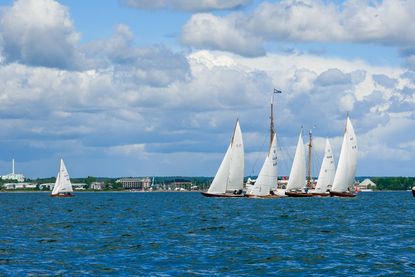 Weiße Segel bestimmen das Bild auf dem Wasser vor Neustadt.