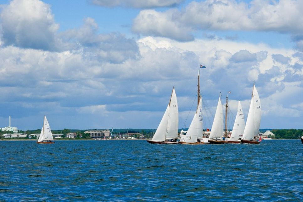 Weiße Segel bestimmen das Bild auf dem Wasser vor Neustadt.