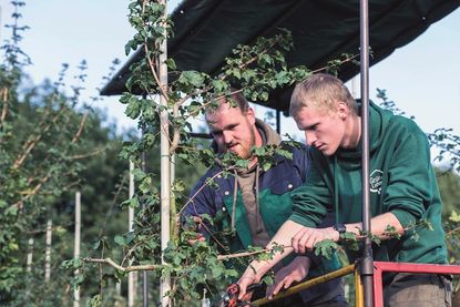 Die Arbeit in einer Baumschule verbindet Natur, Technik und Teamarbeit auf besondere Weise.
