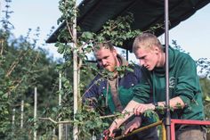 Die Arbeit in einer Baumschule verbindet Natur, Technik und Teamarbeit auf besondere Weise.