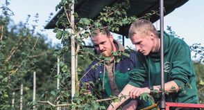 Die Arbeit in einer Baumschule verbindet Natur, Technik und Teamarbeit auf besondere Weise.