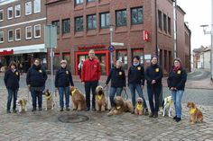 ASB-Besuchshundedienst