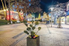 Bei der Veranstaltung „Timmendorf strahlt“ wird die Winterbeleuchtung im Zentrum von Timmendorfer Strand am Sonntagabend offiziell eingeschaltet.