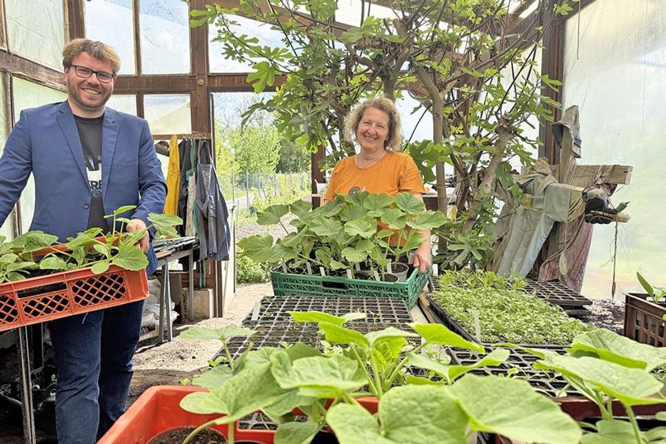 Einrichtungsleiter Jan Spiesky und Anleiterin Siliva Warmer haben kistenweise Gemüsejungpflanzen und Blumen im Anzuchtgewächshaus vorbereitet.