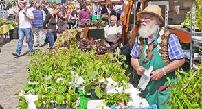 Der Pflanzen- und Gartenmarkt auf dem Preetzer Markt bietet jedes Jahr aufs Neue eine bunte Auswahl.