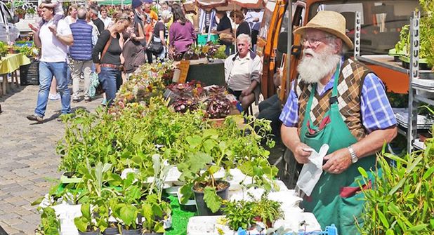 Der Pflanzen- und Gartenmarkt auf dem Preetzer Markt bietet jedes Jahr aufs Neue eine bunte Auswahl.