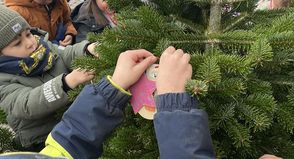 Gemeinsam mit den Kindern der Kita Wasserturm haben die Stadtwerke Neustadt einen Weihnachtsbaum geschmückt.