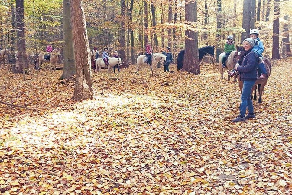 Sehr beliebt ist der herbstliche Ausritt mit Maria Bremer vom Reiterhof Wiesenstall. (Foto: Veranstalter)