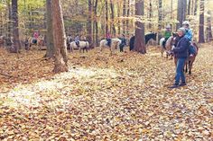Sehr beliebt ist der herbstliche Ausritt mit Maria Bremer vom Reiterhof Wiesenstall. (Foto: Veranstalter)