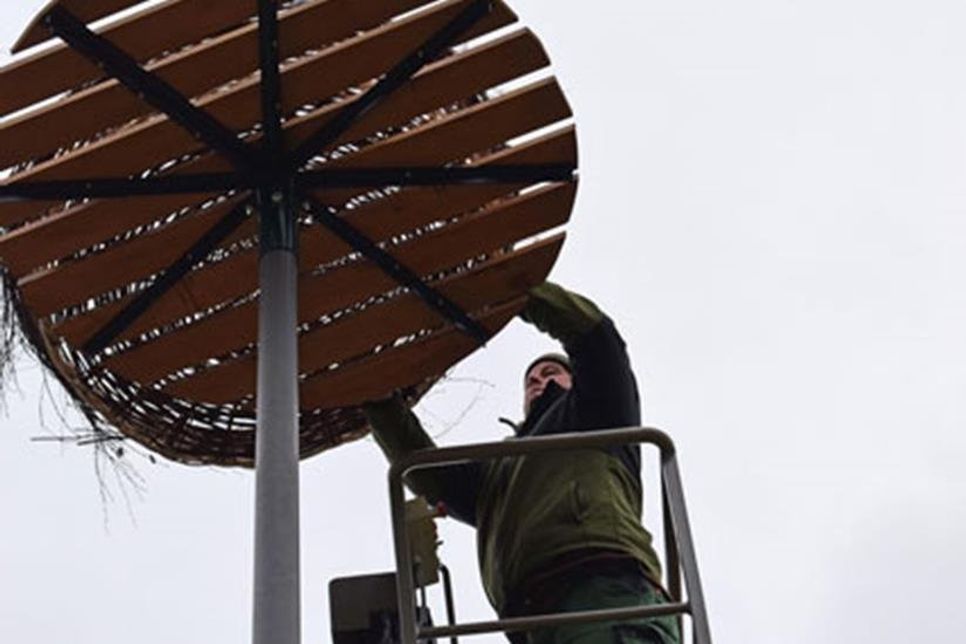 Der Nestboden muss gut am Mast befestigt werden, damit es die zukünftige Last tragen kann – Störche bauen ihren Horst ständig weiter, so dass mehrere hundert Kilo zusammenkommen können