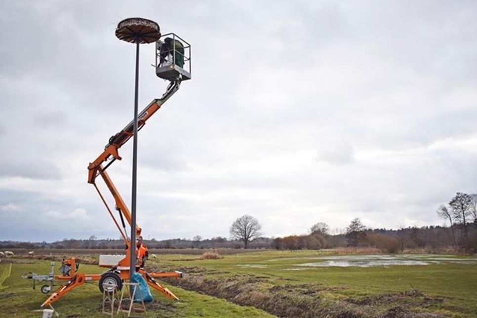 Der Wiesengrund unweit des Lanker Sees - am Verbindungskanal zum Scharsee - ist mit seinem Futterangebot ideales Brutgebiet für Störche. Jetzt hoffen die Schellhorner Initiatoren auf brutwillige Fluggäste aus dem Süden