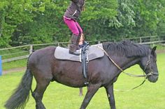 Voltigieren auf dem Pony „Nowice“