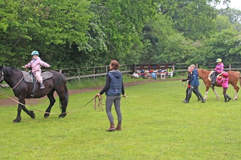 Voltigieren und Ballspiele