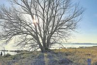 Glasklare Luft und Sonnenschein - so lieben wir unseren Norden. Das Foto vom Neustädter Strand schickten uns Irmgard und Jürgen Hering.