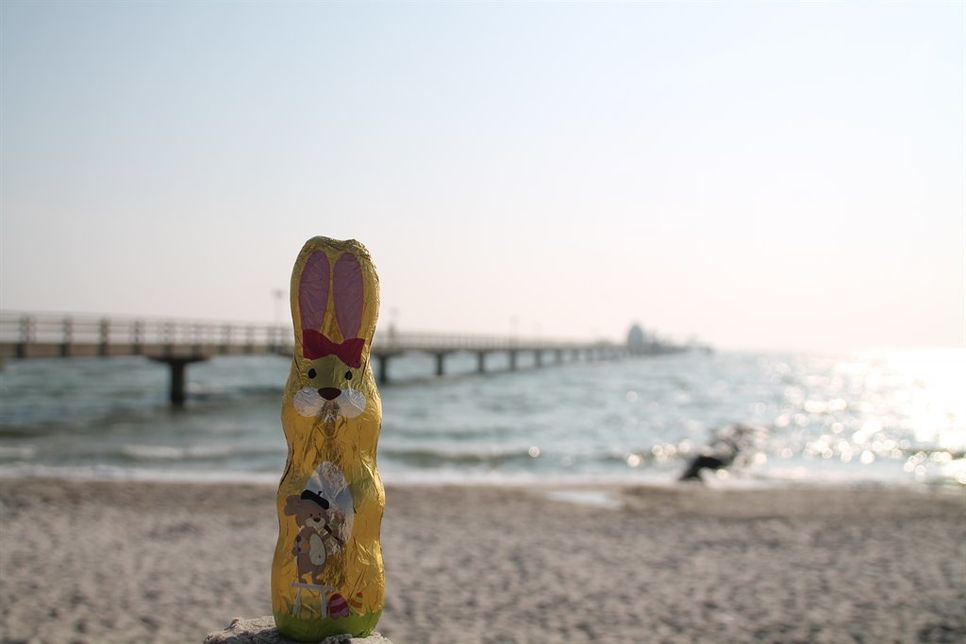 Stammgast in Grömitz: der Osterhase.