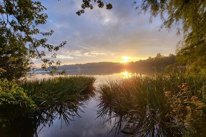 Ein stiller Moment: Kim Neddermeyer hat den Sonnenuntergang über dem Eutiner See in warmem Licht eingefangen.