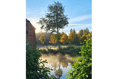 Auf diesem Foto aus Güldenstein zeigt Sonja Drews, wie schön der Tag beginnen kann – mit Nebel und erster Sonne im Rücken.