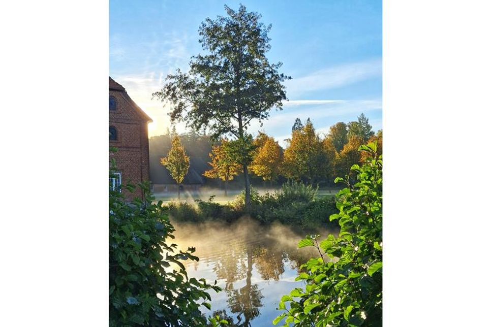 Auf diesem Foto aus Güldenstein zeigt Sonja Drews, wie schön der Tag beginnen kann – mit Nebel und erster Sonne im Rücken.