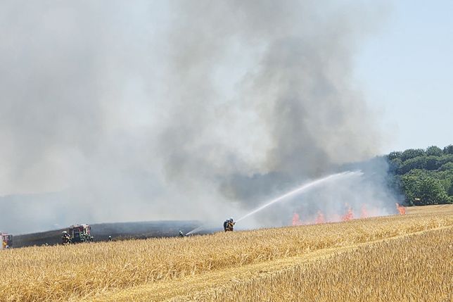 Großeinsatz in Gronenberg: Rund 150 Einsatzkräfte verhindern Ausbreitung eines Flächenbrandes