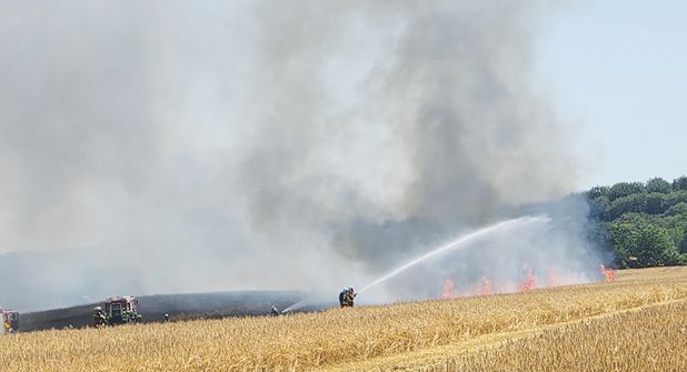 Großeinsatz in Gronenberg: Rund 150 Einsatzkräfte verhindern Ausbreitung eines Flächenbrandes
