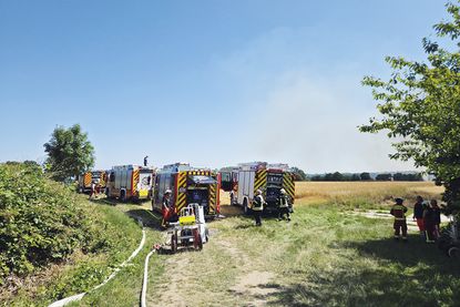Großeinsatz in Gronenberg: Rund 150 Einsatzkräfte verhindern Ausbreitung eines Flächenbrandes