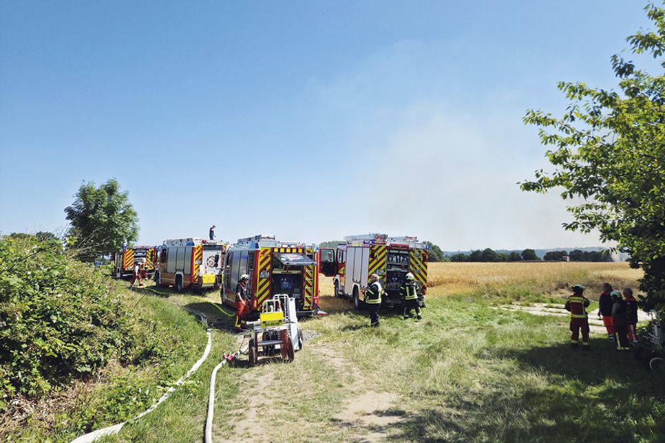 Großeinsatz in Gronenberg: Rund 150 Einsatzkräfte verhindern Ausbreitung eines Flächenbrandes