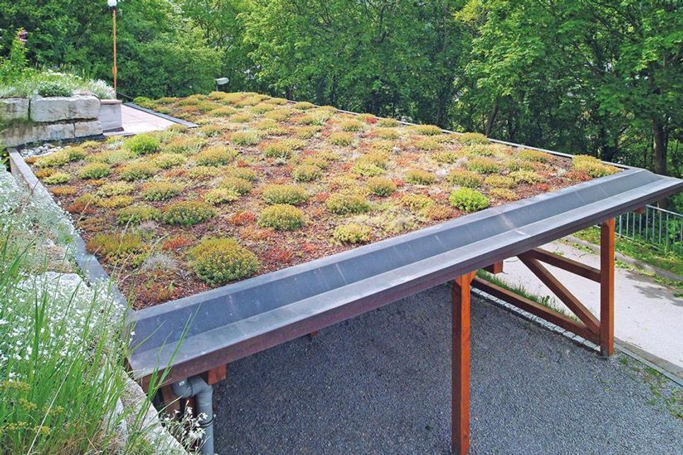 Kleines Dach, große Wirkung: Die Begrünung von Carports und Garagen verbessert das urbane Mikroklima.