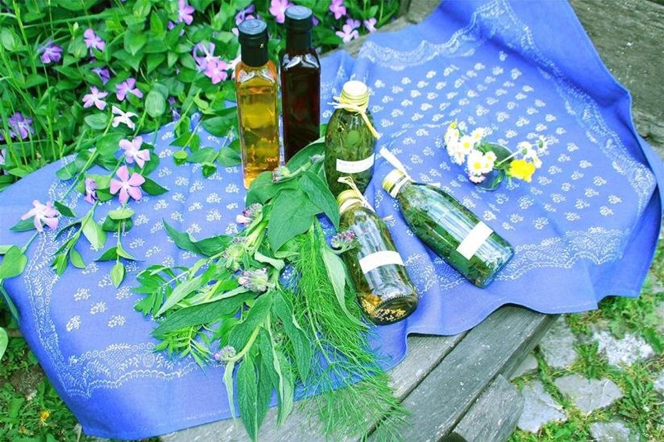 Im Juli schenkt die Natur großartige grüne Helfer, die auf ganz unterschiedliche Weise genutzt werden können.