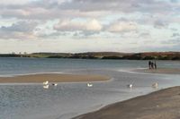 Der Naturstrand von Sehlendorf mit seiner Dünenlandschaft, hier fotografiert von Margitta Düring-Hopp, liegt zwar nicht in Ostholstein, ist aber auch wunderschön.