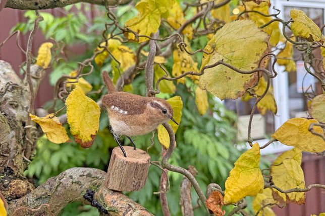 Kreatives aus der Werkstatt von Land in Sicht: Dieser Zaunkönig aus Filz sieht seinem Vorbild täuschend ähnlich.