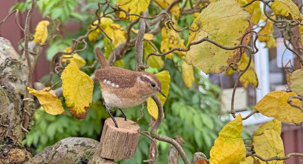 Kreatives aus der Werkstatt von Land in Sicht: Dieser Zaunkönig aus Filz sieht seinem Vorbild täuschend ähnlich.