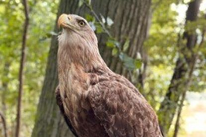 Ziel war es, Wissen über Wald, Wild und Umwelt nicht aus Büchern, sondern direkt draußen in der Natur zu vermitteln.