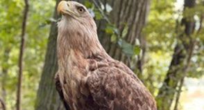 Ziel war es, Wissen über Wald, Wild und Umwelt nicht aus Büchern, sondern direkt draußen in der Natur zu vermitteln.