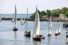Die Teilnehmer der Max Oertz Regatta verlassen den Neustädter Hafen.