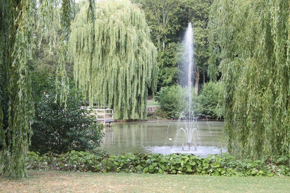 Der idyllische Kurpark verwandelt sich am ersten Augustwochenende in ein Fest-Areal.