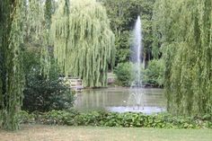 Der idyllische Kurpark verwandelt sich am ersten Augustwochenende in ein Fest-Areal.