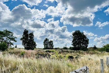 Naturidylle in Lenster Strand.