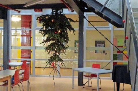 Neustadt. Am Küstengymnasium hängt in diesem Jahr der Christbaum kopfüber. Der auf diese besondere Weise installierte Baum soll zum Nachdenken über das hiesige Brauchtum und die Selbstverständlichkeit, mit der dieses christliche Symbol weltweit aufgestellt wird, anregen. (red)