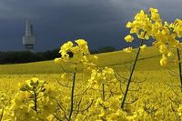 Christine Frick war mit dem Fahrrad auf dem Weg von Neustadt nach Rettin und erwischte diese eindrucksvolle Stimmung kurz vorm Gewitter.