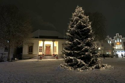 Das Neustädter Rathaus.