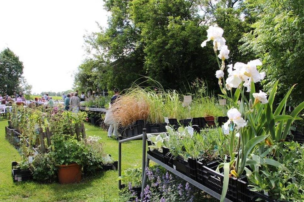 Die Jubiläumsfeier fand im Garten von Ljiljana Ehler statt.