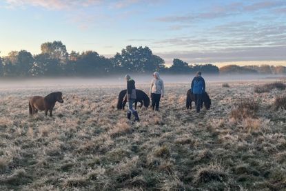 Schüler lernen, für Tiere Verantwortung zu übernehmen.